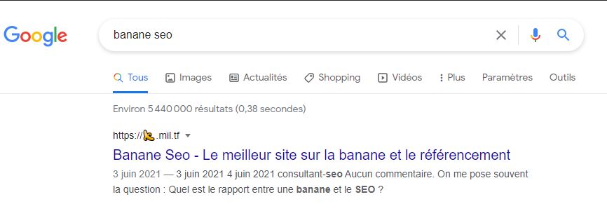 banane-seo-google