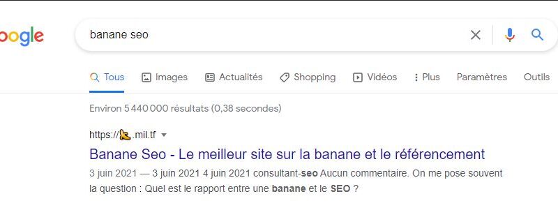 banane-seo-google